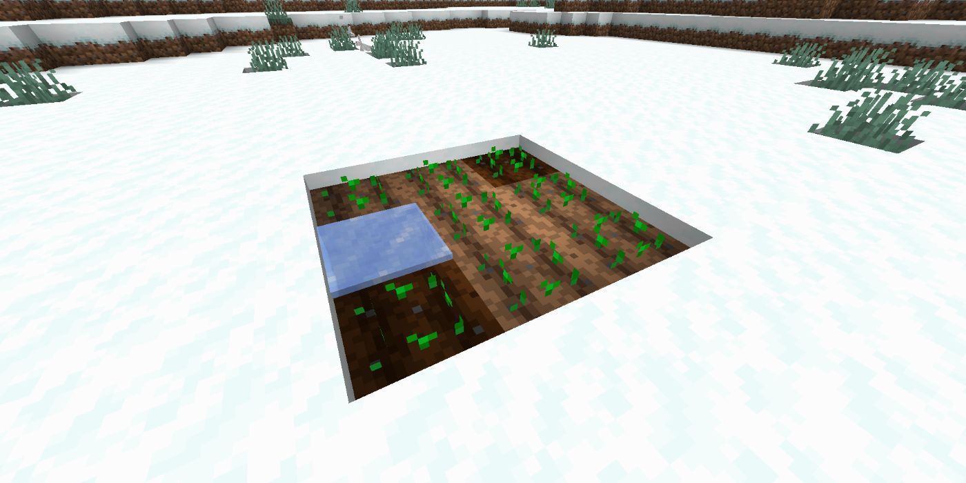 有冰水的 Minecraft 雪地生物群落乾燥農場